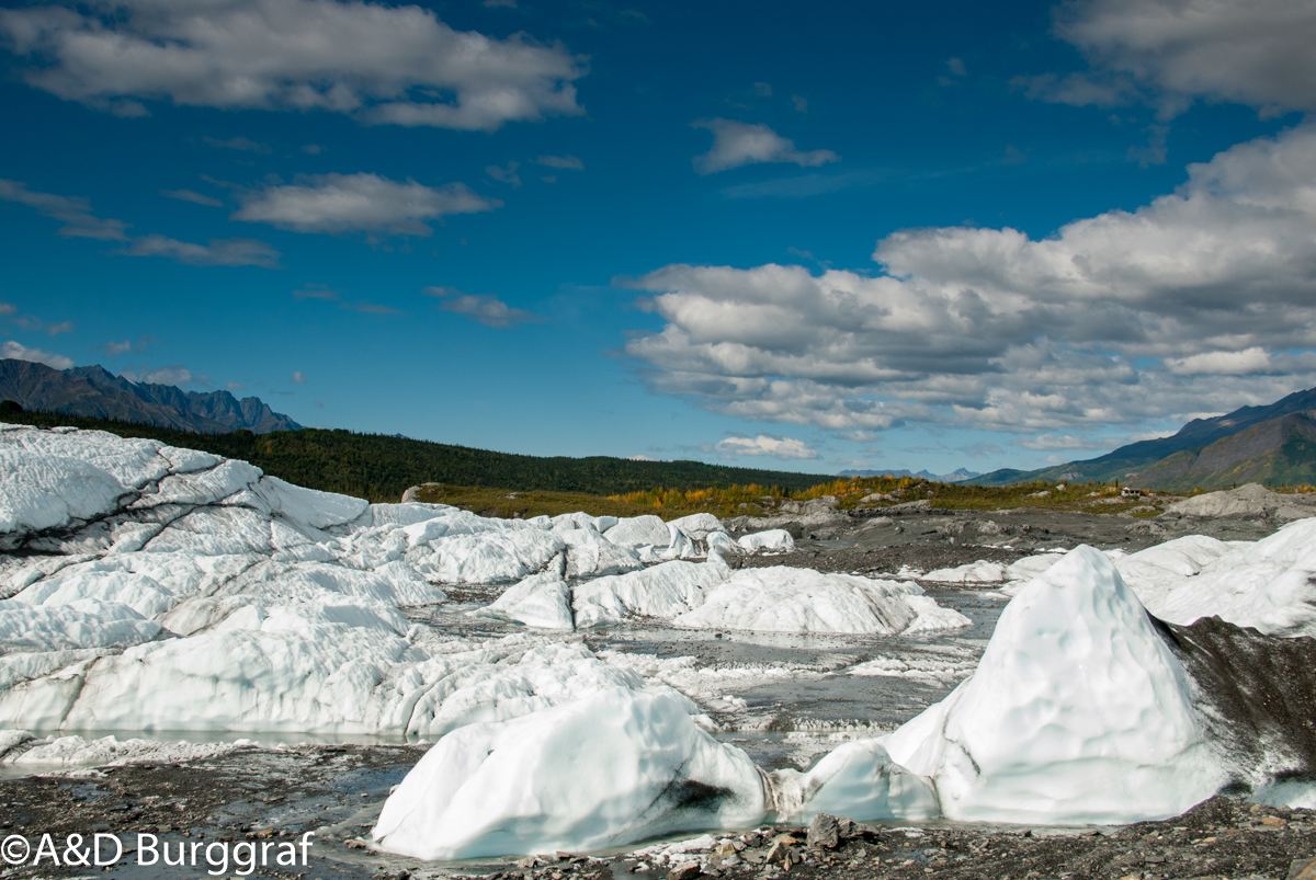 Whitehorse