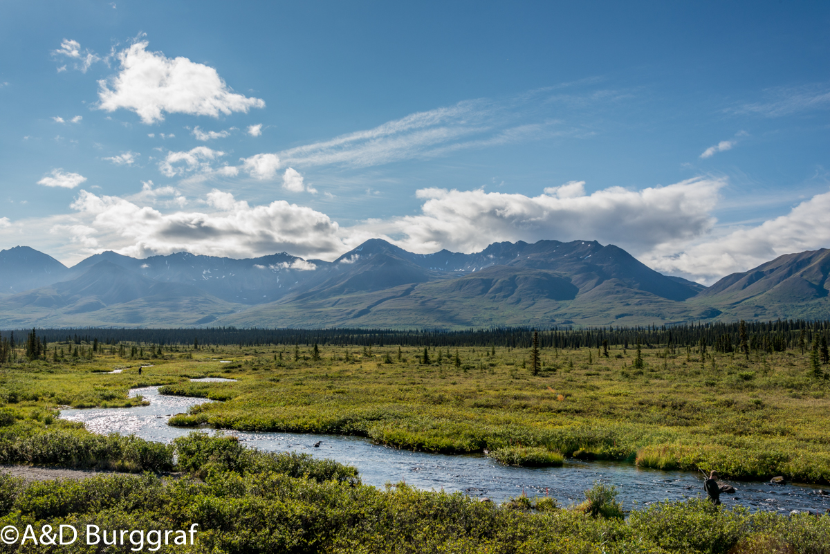 Whitehorse