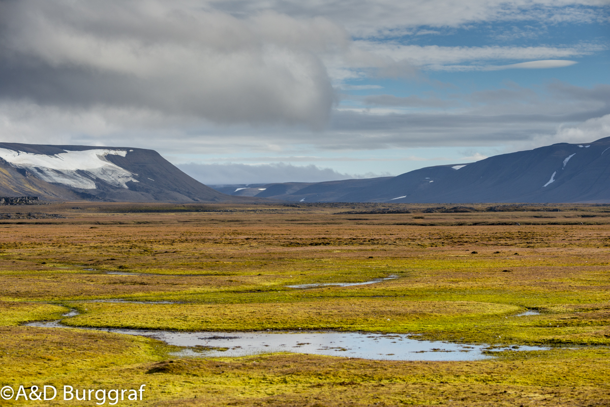 Spitzbergen