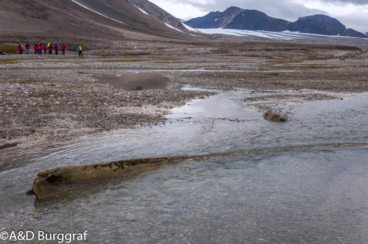 Spitzbergen