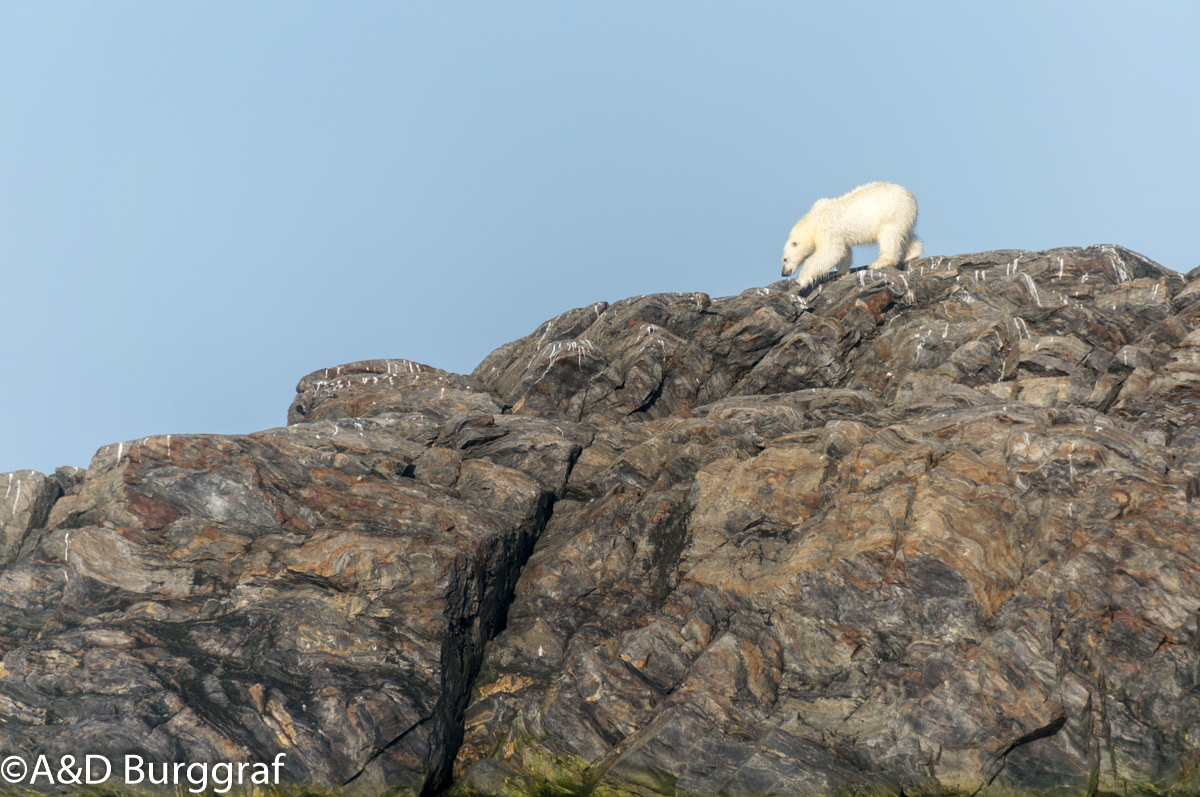 Spitzbergen