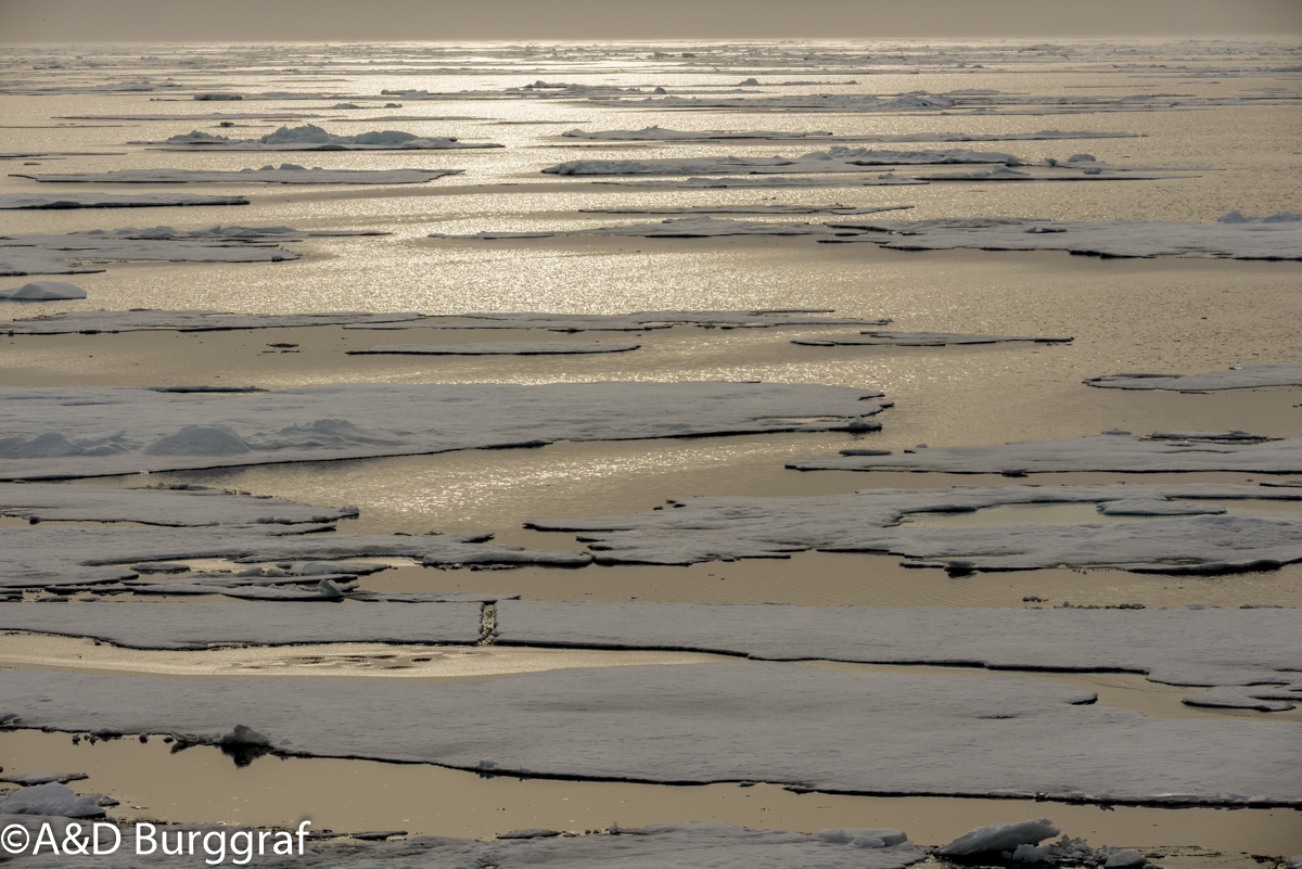 Spitzbergen