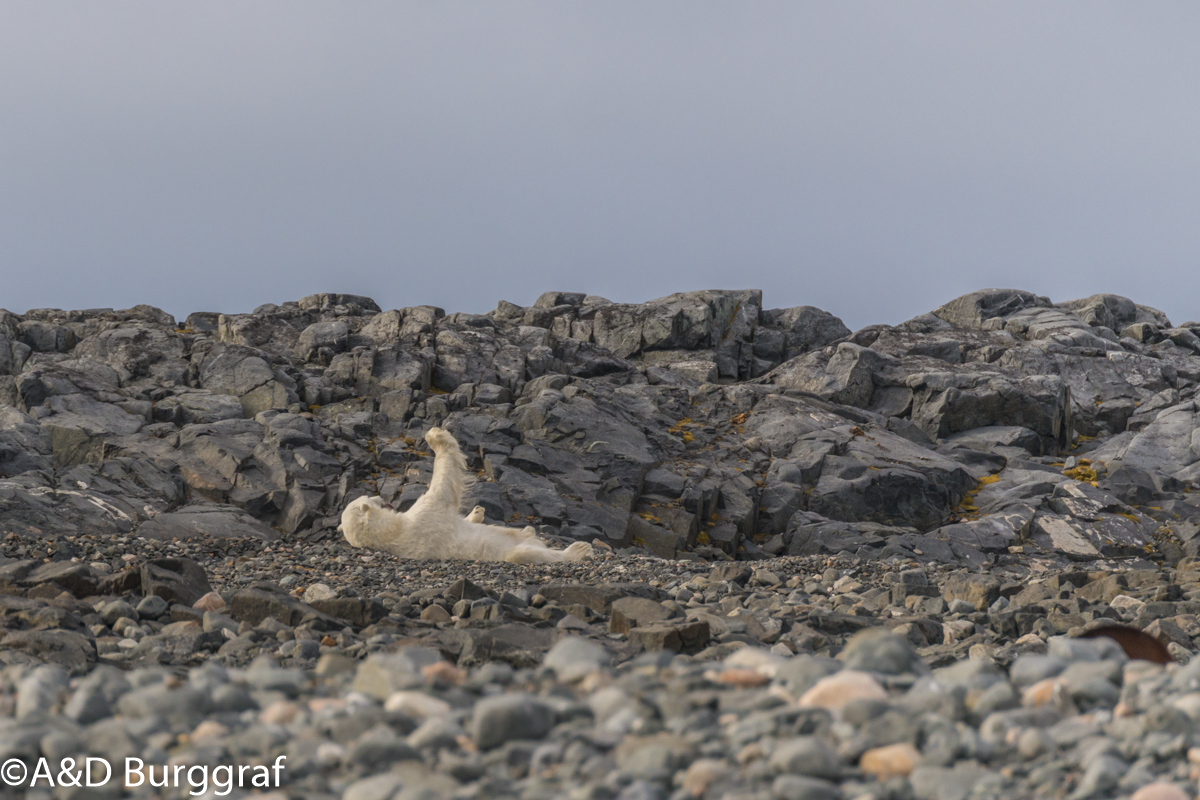 Spitzbergen